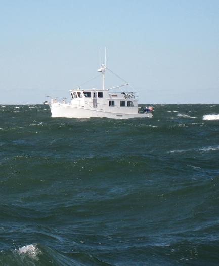 Big seas!